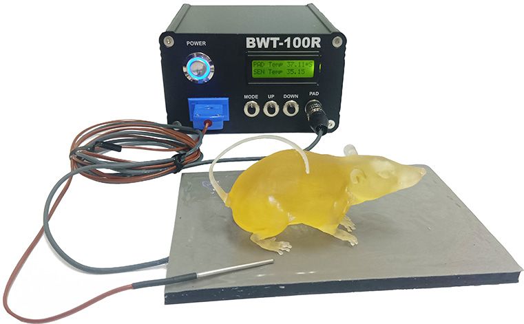 bwt100r_set.jpg